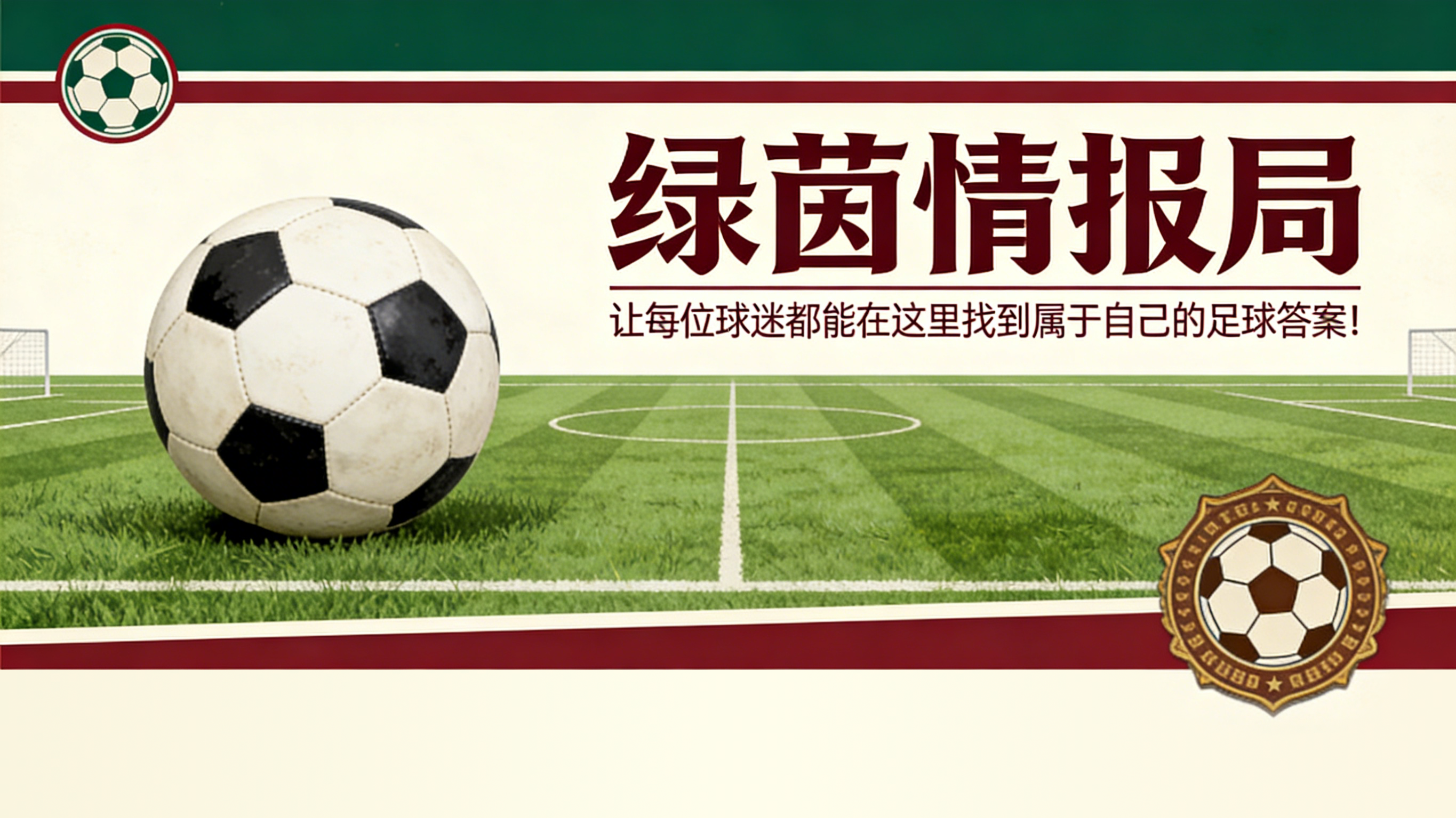乐鱼体育平台-迪诺·托马西接替罗基担任临时裁判指派官：他是谁以及此前的职务